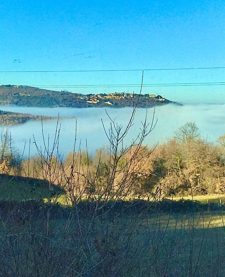 La Fraternità Villa Montefollonico Esterno foto